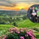 Jatiluwih received the Top 100 Green Destinations 2025 award.