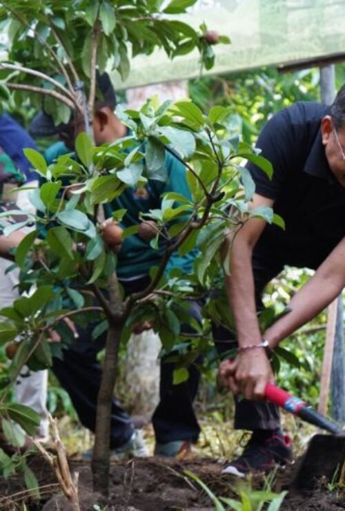 Governor Wayan Koster leads tree planting along Tukad Ayung in Badung as part of the Gotong Royong Semesta Berencana environmental initiative. Governor Wayan Koster leads tree planting along Tukad Ayung in Badung as part of the Gotong Royong Semesta Berencana environmental initiative.