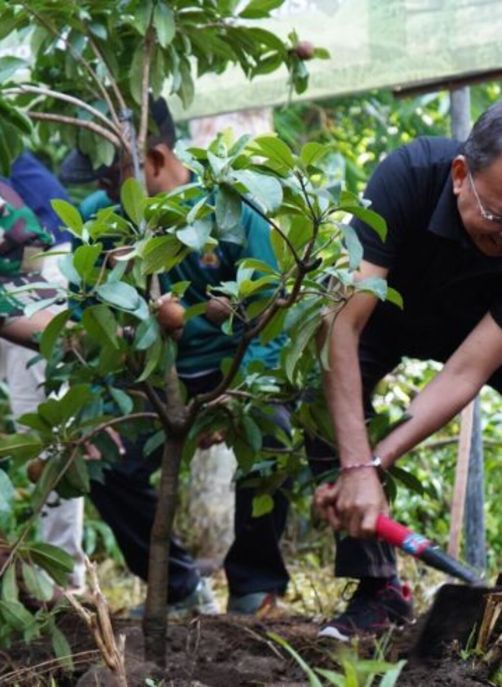 Governor Wayan Koster leads tree planting along Tukad Ayung in Badung as part of the Gotong Royong Semesta Berencana environmental initiative. Governor Wayan Koster leads tree planting along Tukad Ayung in Badung as part of the Gotong Royong Semesta Berencana environmental initiative.