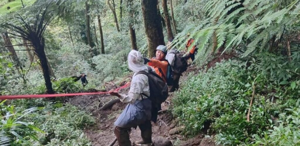 Rescue team evacuates five exhausted hikers from Mount Batukaru in Tabanan, Bali. Rescue team evacuates five exhausted hikers from Mount Batukaru in Tabanan, Bali.