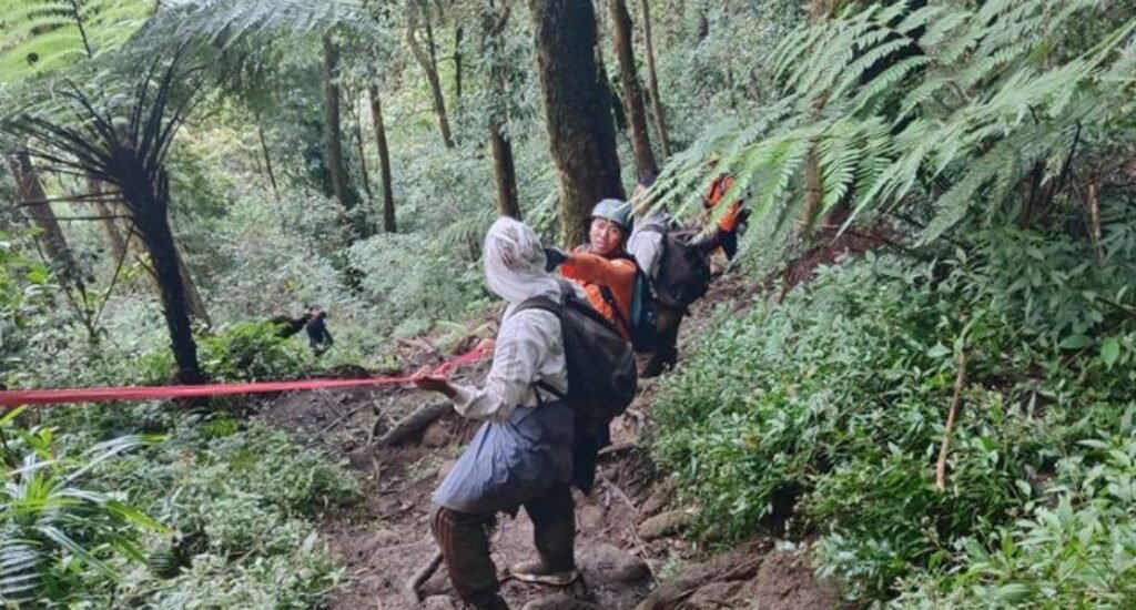 Rescue team evacuates five exhausted hikers from Mount Batukaru in Tabanan, Bali. Rescue team evacuates five exhausted hikers from Mount Batukaru in Tabanan, Bali.